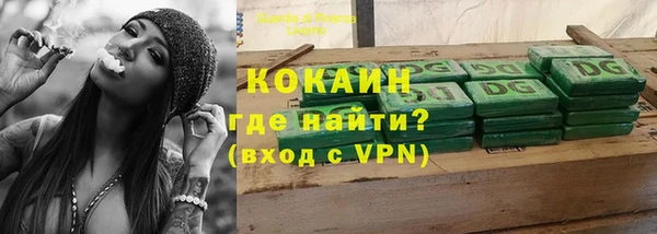 твердый Бородино