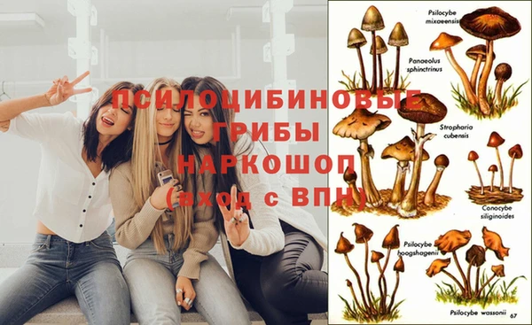 наркотики Бронницы