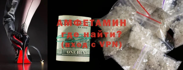 твердый Бородино