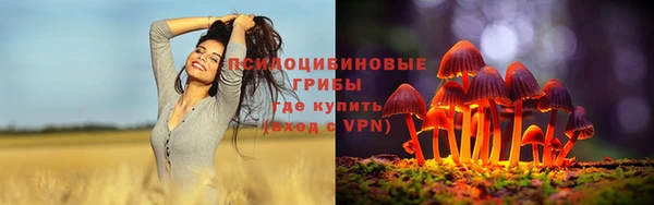 а пвп мука Бугульма