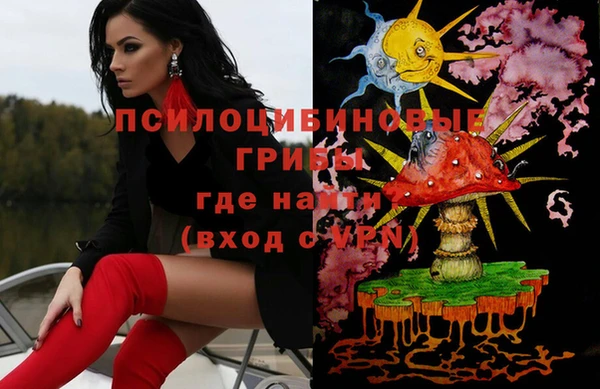 твердый Бородино