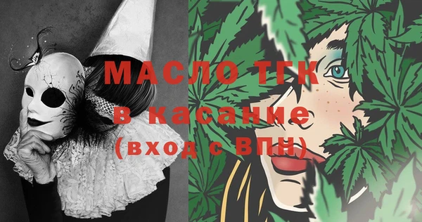 твердый Бородино