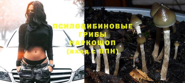 твердый Бородино