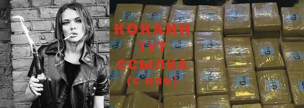 твердый Бородино