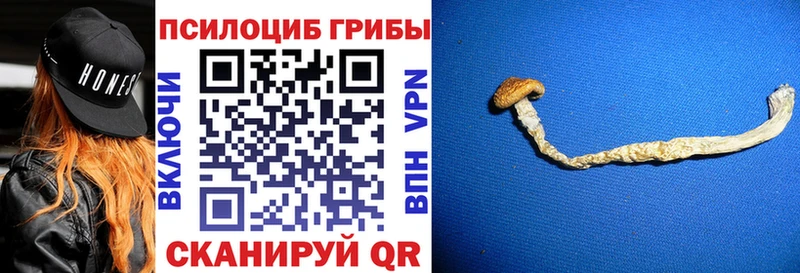 blacksprut как войти  Салават  Галлюциногенные грибы Magic Shrooms 
